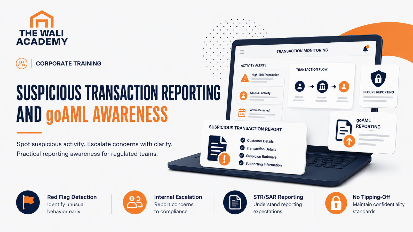 Suspicious Transaction Reporting and goAML Awareness